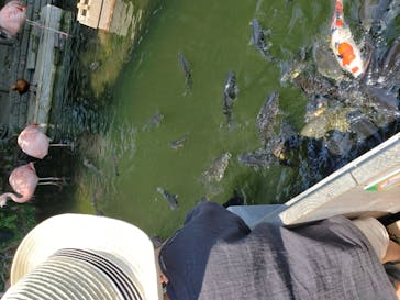 横浜・八景島シーパラダイスに投稿された画像（2020/10/8）