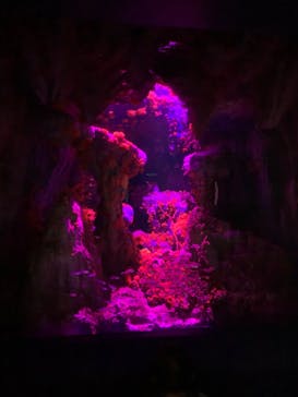 サンシャイン水族館に投稿された画像（2020/10/8）