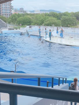 京都水族館に投稿された画像（2020/10/9）