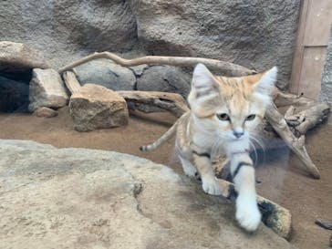 神戸どうぶつ王国に投稿された画像（2020/10/9）