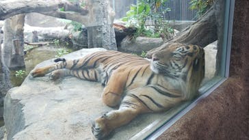 神戸どうぶつ王国に投稿された画像（2020/10/9）