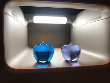 ちいさな硝子の本の博物館に投稿された画像（2020/10/9）