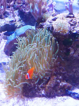 すみだ水族館に投稿された画像（2020/10/9）