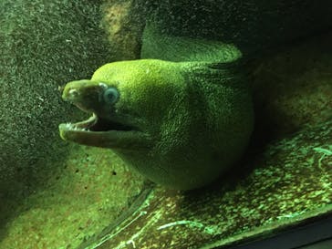 株式会社Gに投稿された画像（2020/10/9）