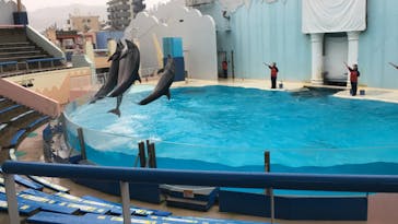 株式会社Gに投稿された画像（2020/10/9）