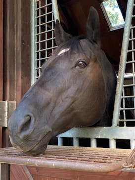 ノーザンホースパークに投稿された画像（2020/10/9）