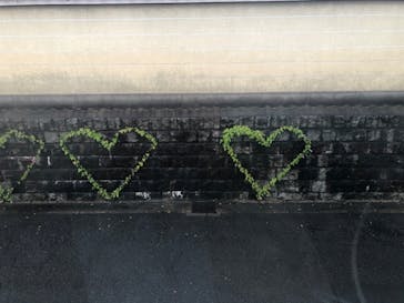 京町屋体験工房 和楽に投稿された画像（2020/10/9）