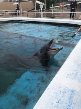 横浜・八景島シーパラダイスに投稿された画像（2020/10/9）