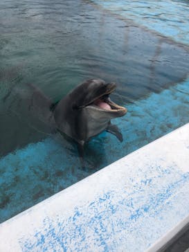 横浜・八景島シーパラダイスに投稿された画像（2020/10/9）