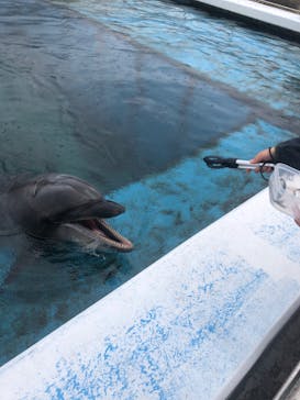 横浜・八景島シーパラダイスに投稿された画像（2020/10/9）