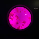 サンシャイン水族館に投稿された画像（2020/10/9）