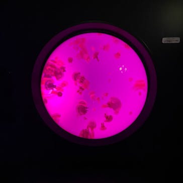 サンシャイン水族館に投稿された画像（2020/10/9）