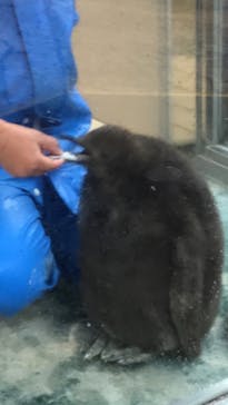 下田海中水族館に投稿された画像（2020/10/9）