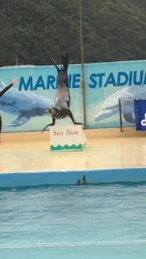 下田海中水族館に投稿された画像（2020/10/9）