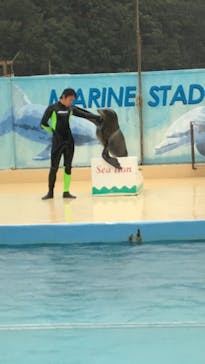 下田海中水族館に投稿された画像（2020/10/9）
