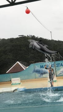 下田海中水族館に投稿された画像（2020/10/9）