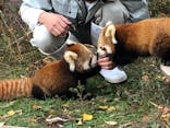 旭川市旭山動物園に投稿された画像（2020/10/10）