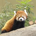 那須どうぶつ王国に投稿された画像（2020/10/10）