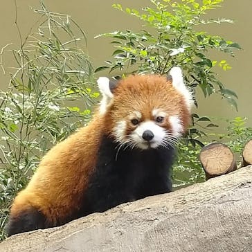 那須どうぶつ王国に投稿された画像（2020/10/9）