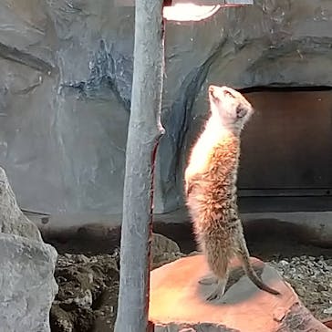 那須どうぶつ王国に投稿された画像（2020/10/9）