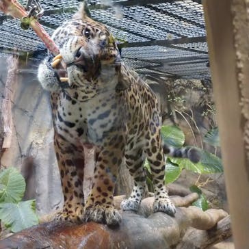 那須どうぶつ王国に投稿された画像（2020/10/9）