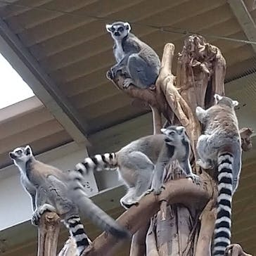 那須どうぶつ王国に投稿された画像（2020/10/9）