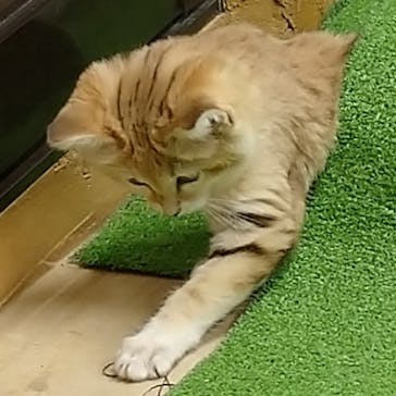 那須どうぶつ王国に投稿された画像（2020/10/9）