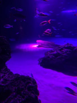 サンシャイン水族館に投稿された画像（2020/10/10）