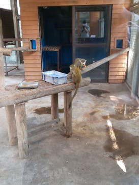 群馬サファリパークに投稿された画像（2020/10/10）