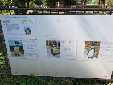 群馬サファリパークに投稿された画像（2020/10/10）