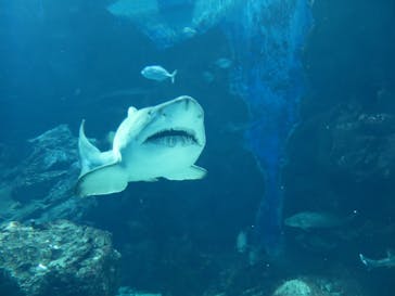 マリンワールド海の中道に投稿された画像（2020/10/10）