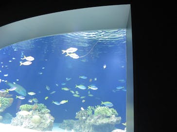 マリンワールド海の中道に投稿された画像（2020/10/10）