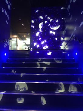 サンシャイン水族館に投稿された画像（2020/10/10）