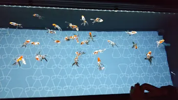 すみだ水族館に投稿された画像（2020/10/10）