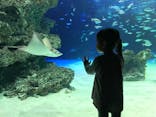 サンシャイン水族館に投稿された画像（2020/10/10）