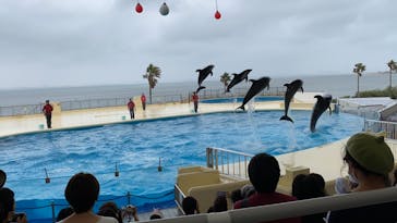 マリンワールド海の中道に投稿された画像（2020/10/10）