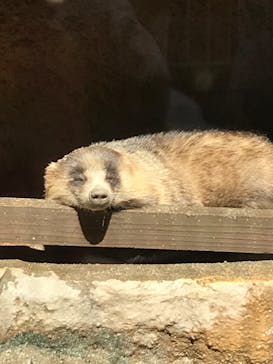天王寺動物園に投稿された画像（2020/10/10）