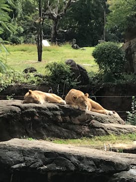 天王寺動物園に投稿された画像（2020/10/10）