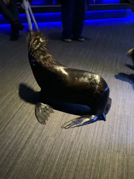 すみだ水族館に投稿された画像（2020/10/10）