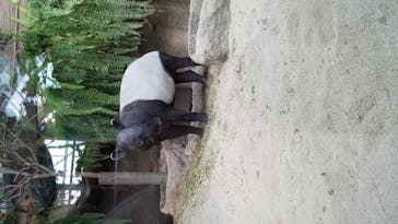 神戸どうぶつ王国に投稿された画像（2020/10/10）