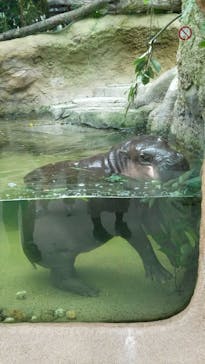 神戸どうぶつ王国に投稿された画像（2020/10/10）