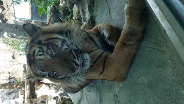 神戸どうぶつ王国に投稿された画像（2020/10/10）