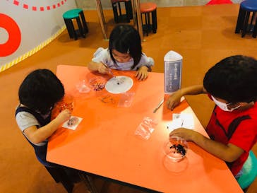 沖縄こどもの国に投稿された画像（2020/10/10）