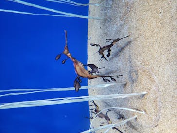 サンシャイン水族館に投稿された画像（2020/10/10）