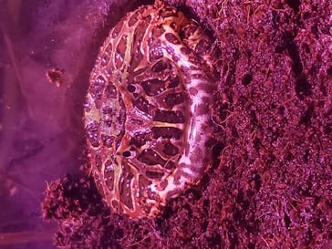 サンシャイン水族館に投稿された画像（2020/10/10）