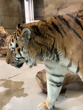 天王寺動物園に投稿された画像（2020/10/10）