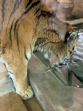 天王寺動物園に投稿された画像（2020/10/10）