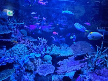 サンシャイン水族館に投稿された画像（2020/10/11）