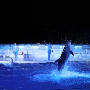 京都水族館に投稿された画像（2020/10/11）