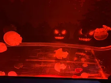 すみだ水族館に投稿された画像（2020/10/11）